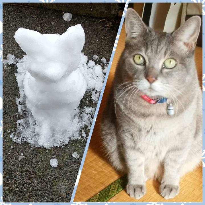 59e32072 107d 4877 9b28 0531d230a124 1707177827925