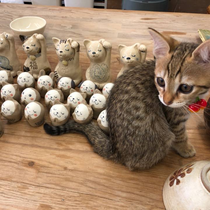 59e332df dabb 46fa aaa7 3f18706300df 1577604814017