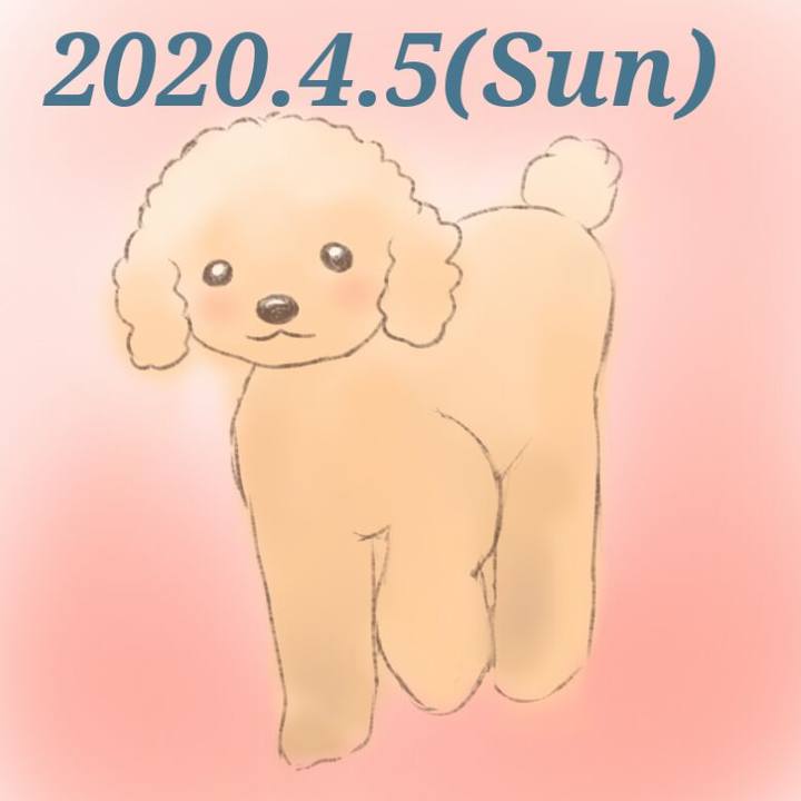 59e33f29 596d 4cb4 be4f ed8284be7e06 1586054089482