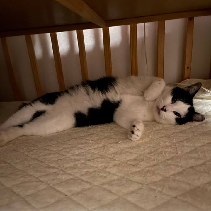 59e33f2b 9e20 40f5 b062 dc628782e84e 1670056511833