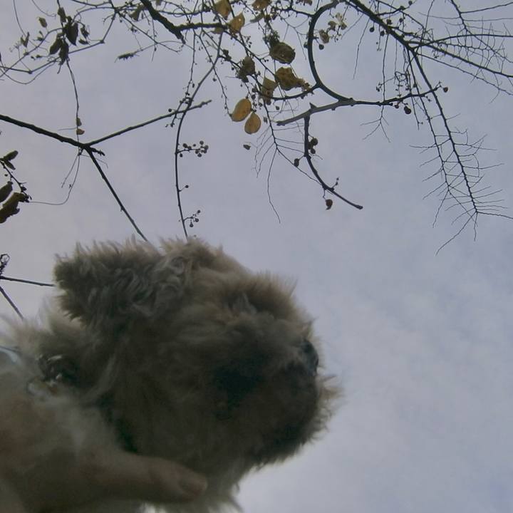 59e3508d f7fd 43c4 aea0 c3588268a740 1668565588243