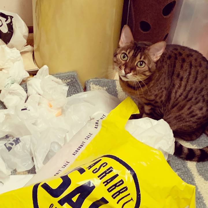 59e350bf e8a8 481b 8d07 47728032711a 1574299778395