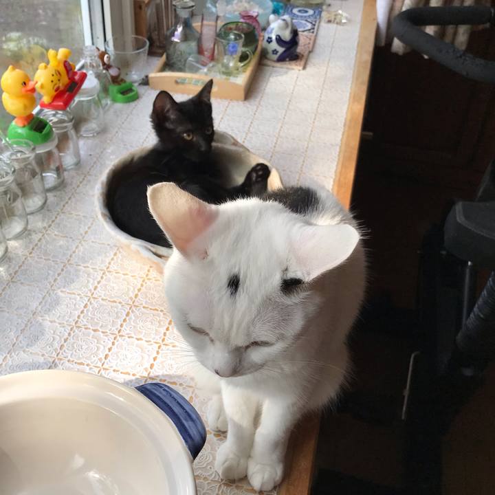 59e3759a be82 4e69 b4a9 15c88941fd3c 1564117484546