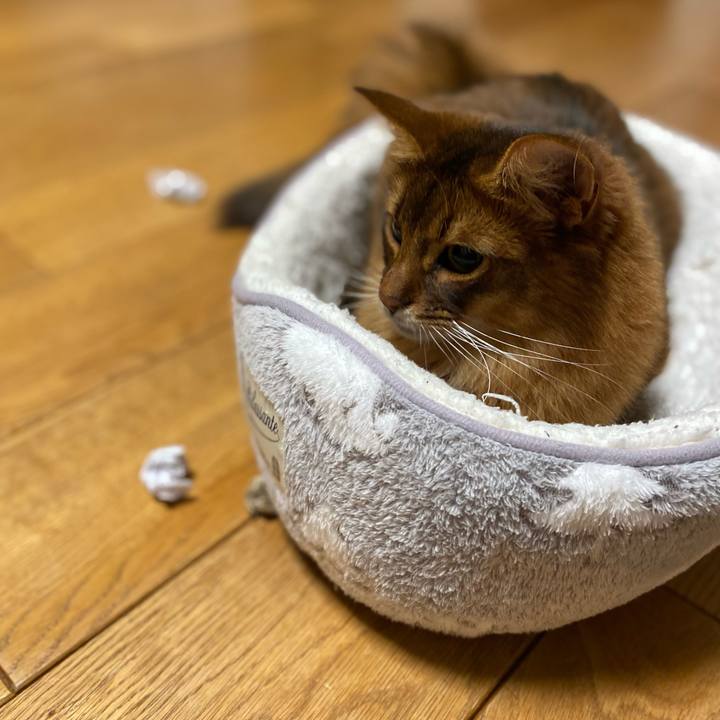 59e3887b 5ccb 4e6f 898c ff3f7828e211 1675758496979