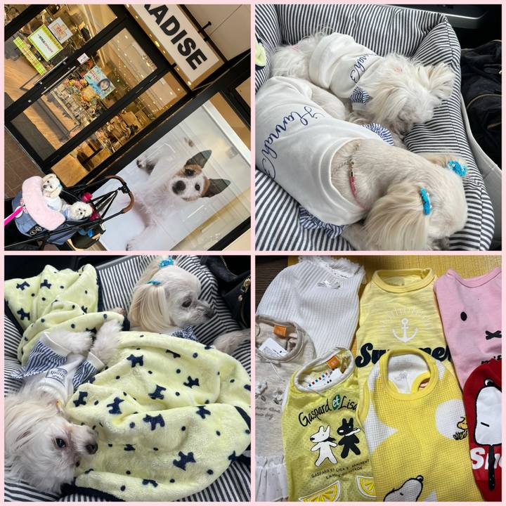 59e3d8de c475 4096 8339 bfcd42b88dc7 1711618346889