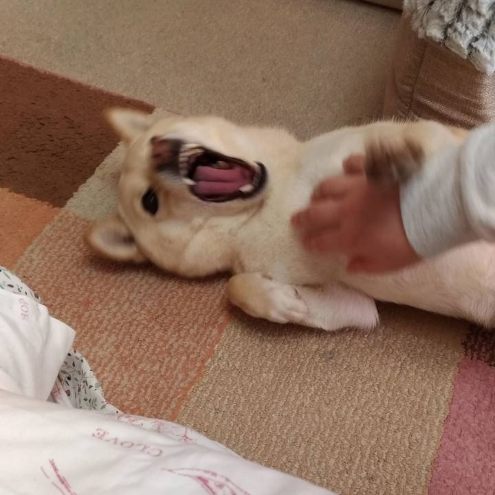 59e3e39a 4a90 46b9 8179 0d9f5d677fd8 1579405226996