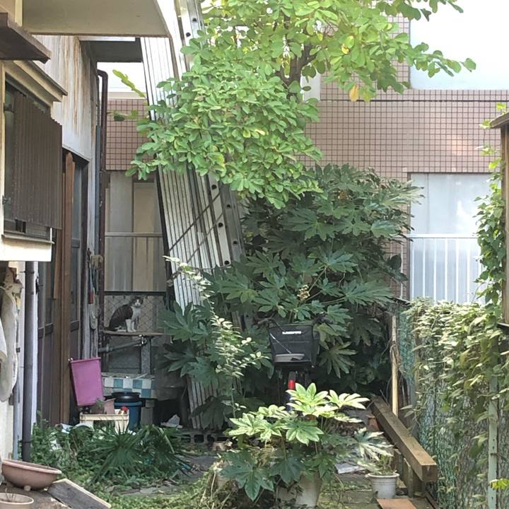 59e3eedc 30d2 4e2d 8be3 257601a289b4 1638014406771