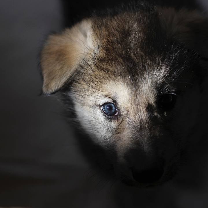 59e3f54c aa5c 4837 82bb 3dcbe70c0add 1550285659026