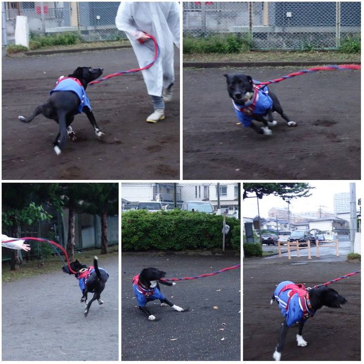 59e415fd 540c 48cb ac05 2fe3c1fb9481 1620903498291