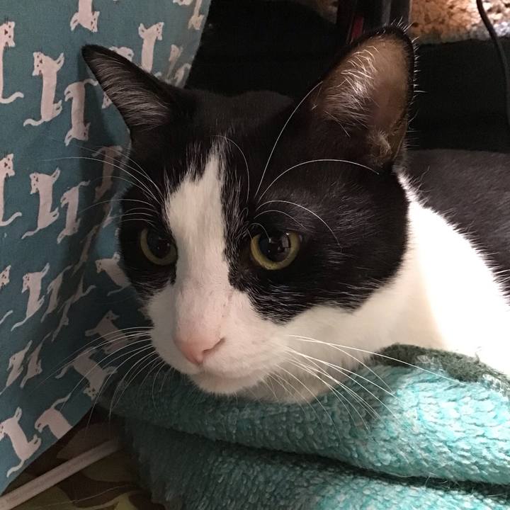 59e4600d 05e7 48be a454 902b9d934839 1761051867990