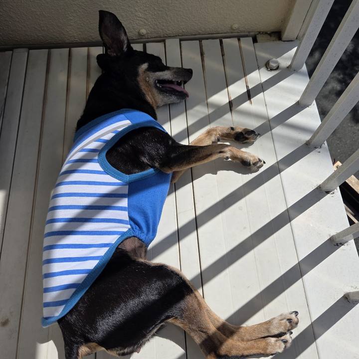 59e483f6 77ea 4555 ad27 088756fd4b80 1756782504271