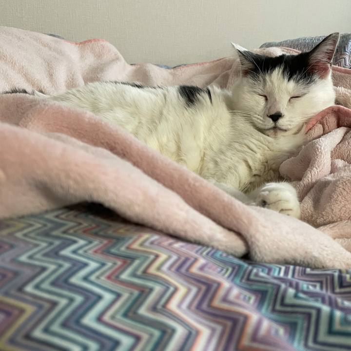 59e4a325 b4e4 441d b8a2 20e6e07790fd 1607470409885