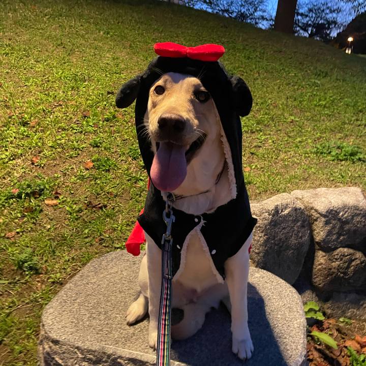 59e4a94e b406 4068 a168 db95c3934e4c 1668423820489