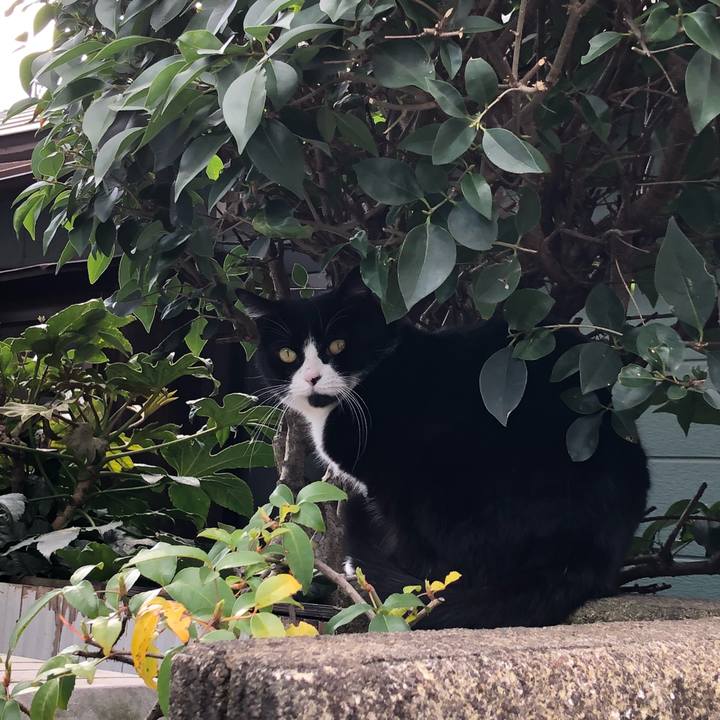 59e4eed7 0e2f 4949 9598 7819005073ea 1520751266305