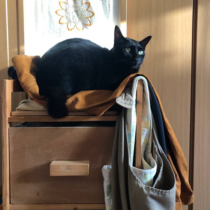 59e4f417 6cb2 4b73 839a aa0956f0d42b 1547362449471