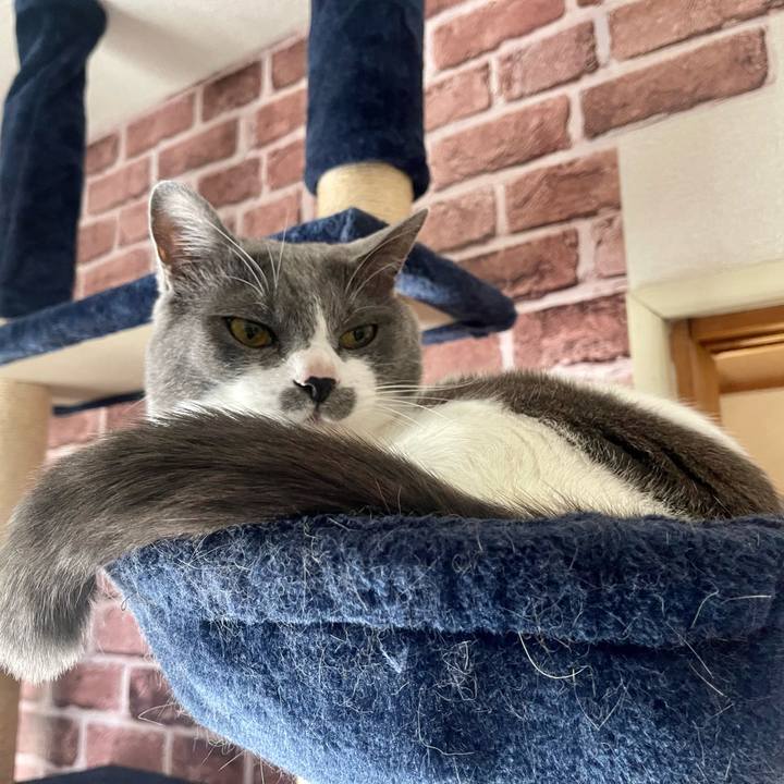 59e50511 f9da 4ee0 944e b32c0217193e 1652941353709