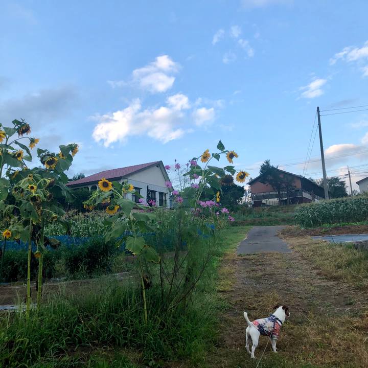 59e5109f eae0 4900 a973 cd68458d6397 1598955052169