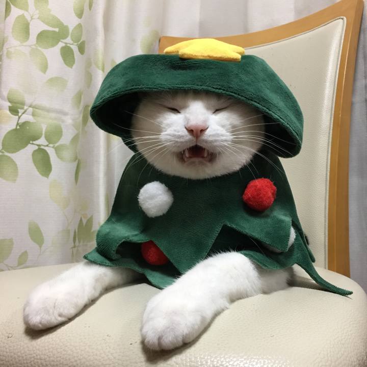 59e5268b 5b21 45d2 8030 1026ce4cd3eb 1545698037102