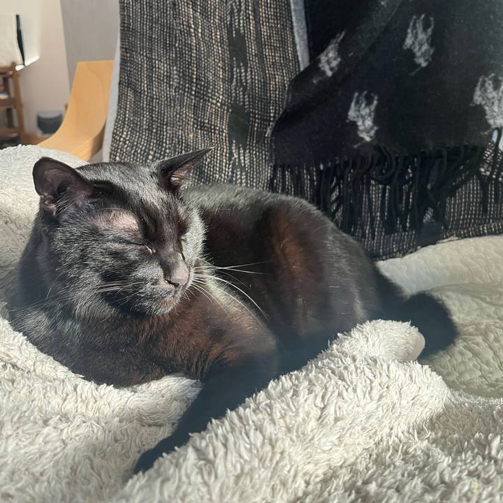 59e53e48 0363 4375 b104 0d55bd0c135f 1738627906260