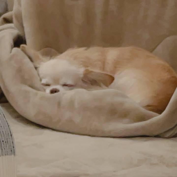 59e5514c 5b90 4699 944c eb4207f5a12e 1767523441681