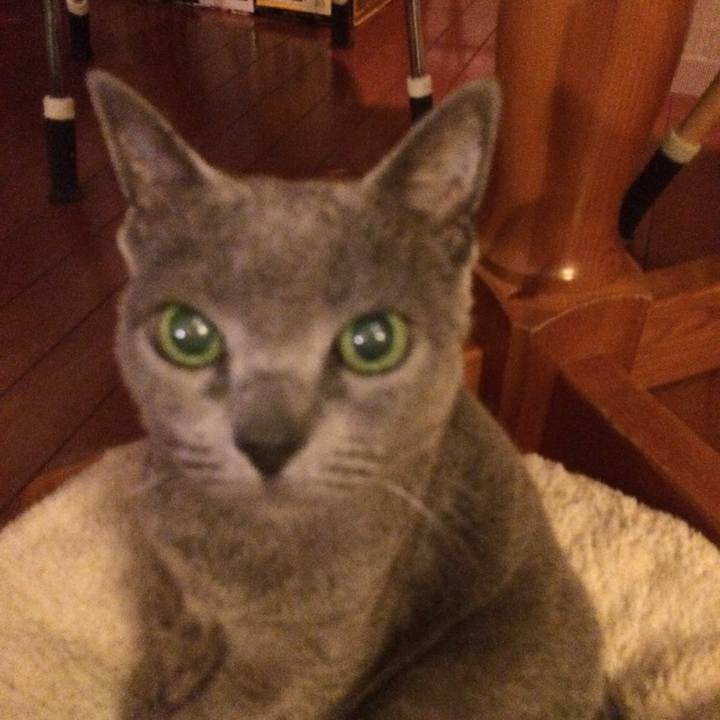 59e55645 7ca9 4032 85bc 2032366dae5d 1520605829837