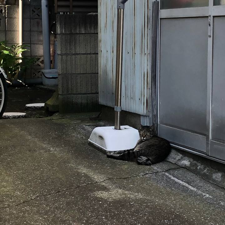 59e55fea 65ec 4c6f ae23 70c2b86b2c07 1594308470584