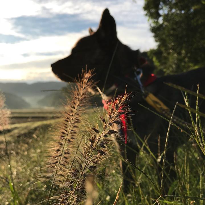 59e59748 0af8 4388 9de0 df7ba31fa1e1 1508240401100