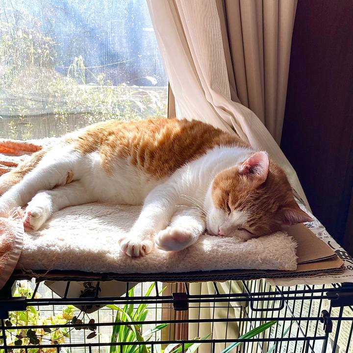 59e5c5d5 d121 4d29 b9bb 6f5f124d3dc0 1669350263674