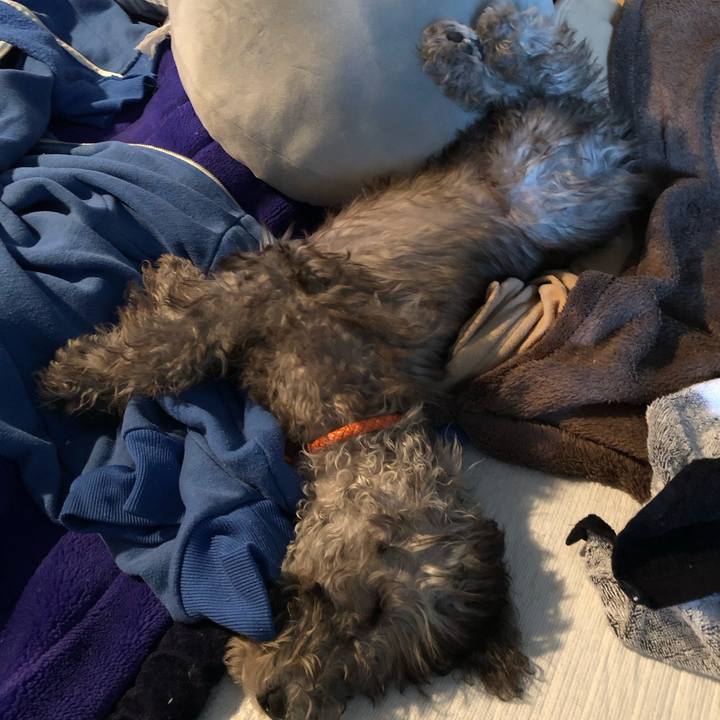 59e5ff3e a89a 4054 86ad fa5c517f166f 1572677990853