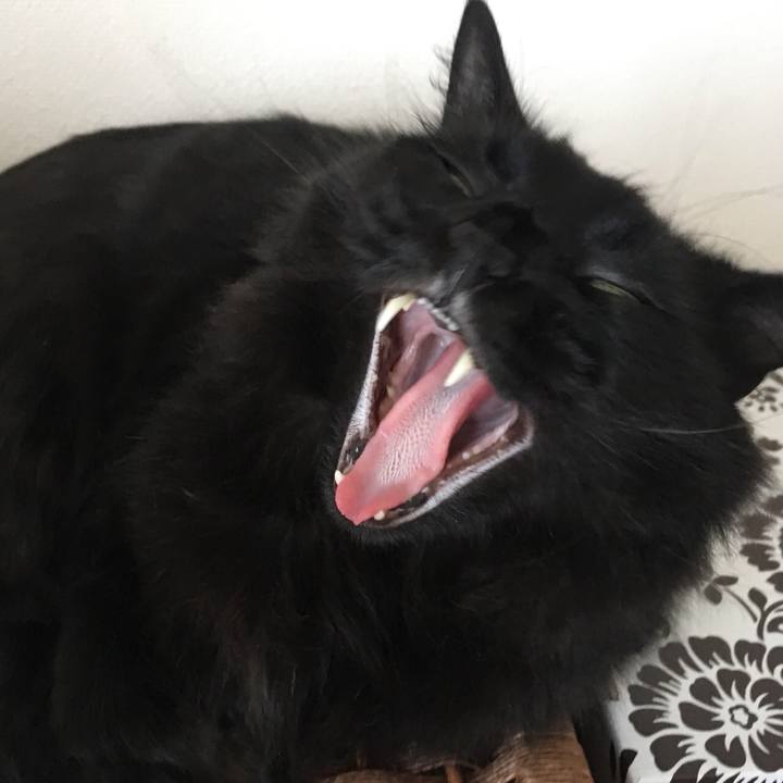 59e63c79 a0d6 4ca7 80a7 aa3d90455dcd 1529456489762