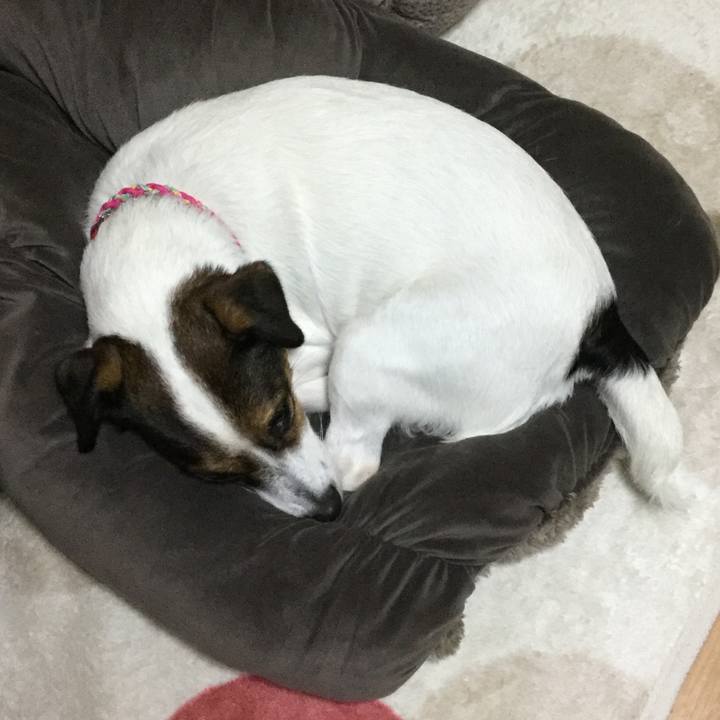 59e6483d e385 4a1a b75e 4ebe9a25a7fd 1511085169407