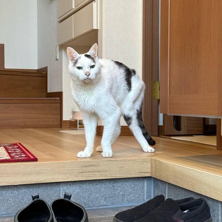 59e64d9b 69cf 44af b26f 75737069811b 1764118546422