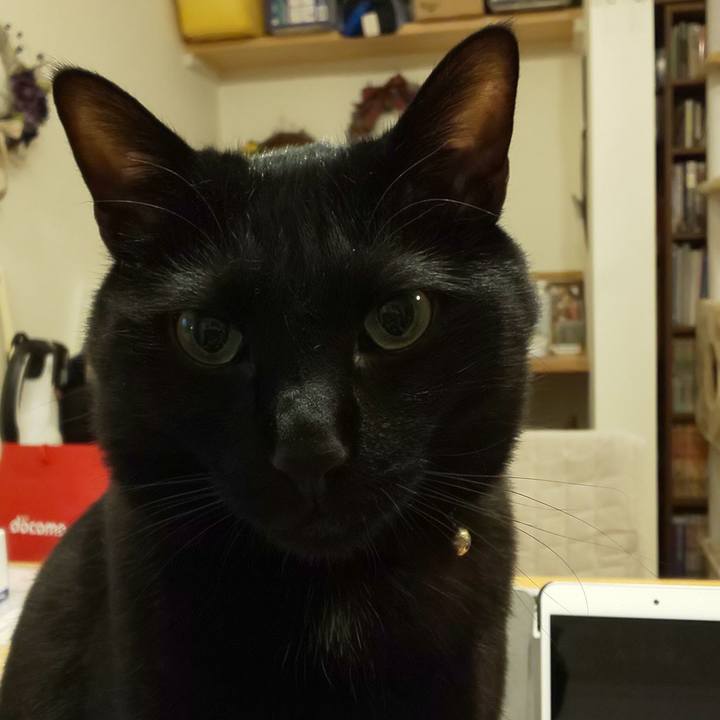 59e666ee 0f8b 4cf2 95a6 e5d5ad39f73f 1559055097545