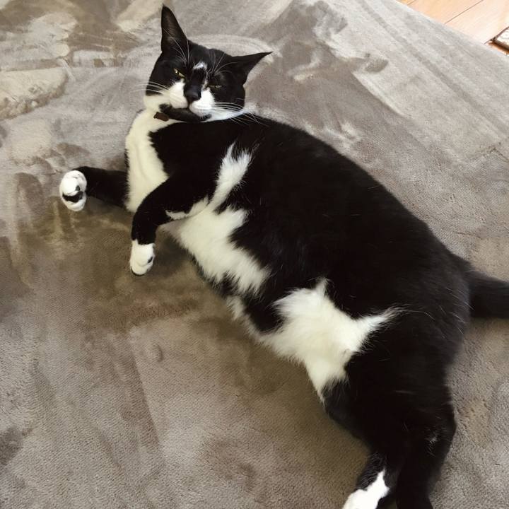 59e6900b 1a08 4124 bc19 c05d7e6a1318 1774018578694