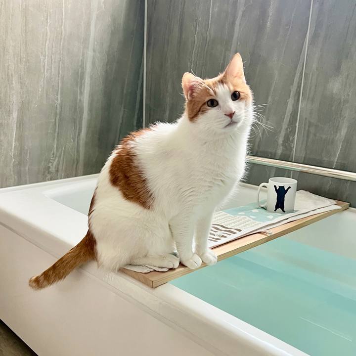 59e69ad7 9352 47a3 969e deac5e3b3f75 1764125126577