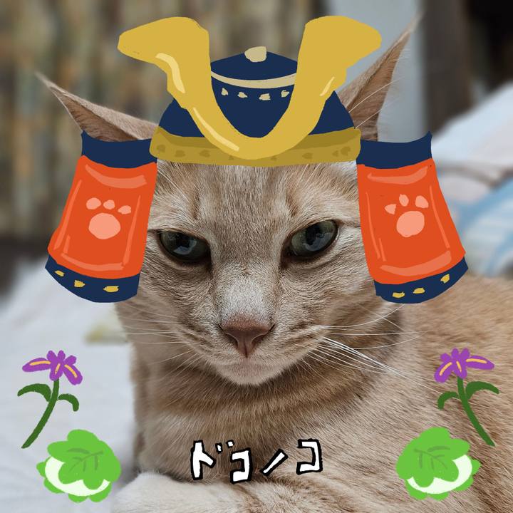 59e69cd6 107d 4836 81c8 8e3f2425e45d 1714985960426