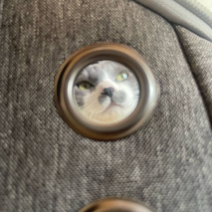 59e6af34 6fe4 44b9 b741 aa55b6df2042 1706331994531