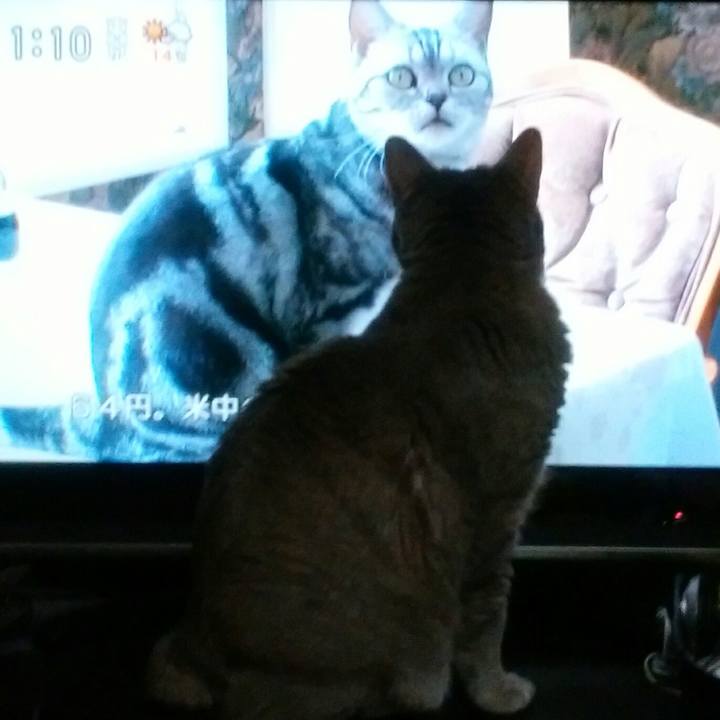 59e6d6c6 58c3 4549 a088 5e84b0af38fd 1557847254365