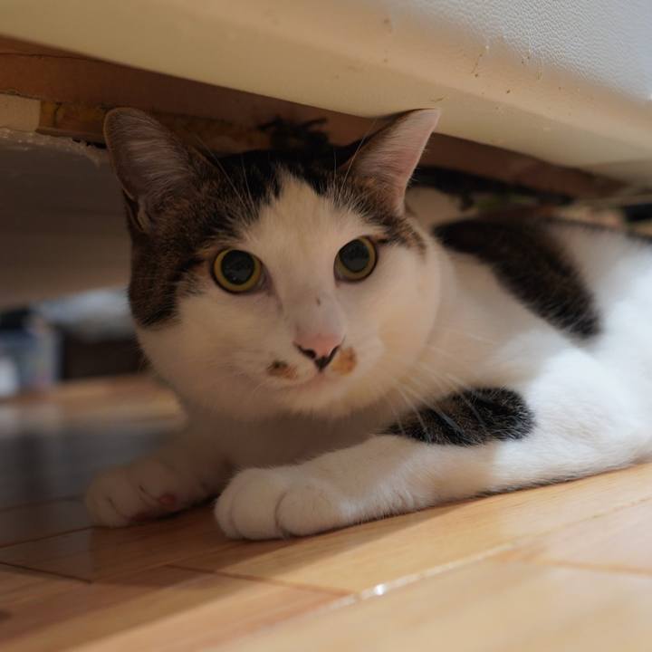 59e726b7 4408 4300 a050 9be8d8323210 1593144650041