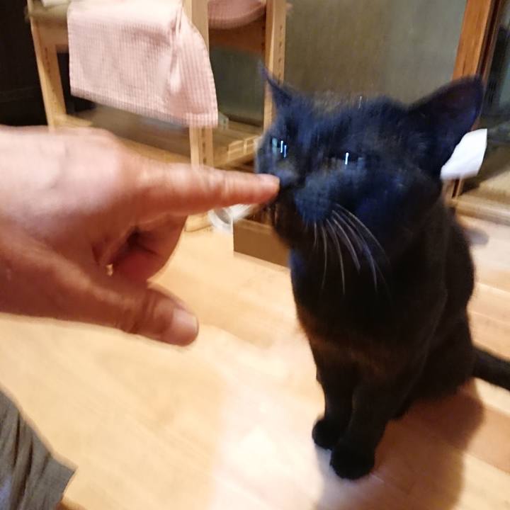 59e72a40 b98b 4c8c ade3 99db3b12bfc4 1626954799876