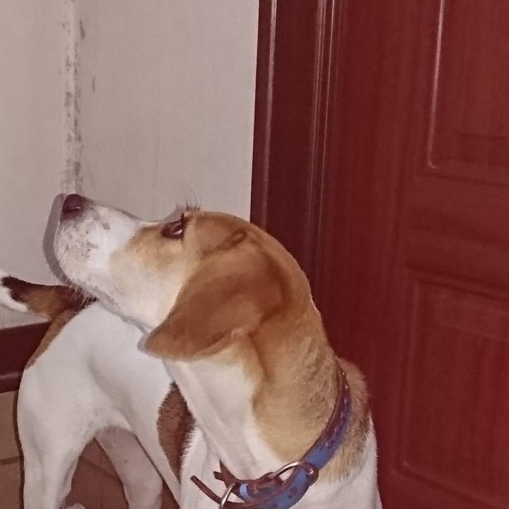 59e74e65 9df6 40b8 8565 fb059d729614 1568988377130