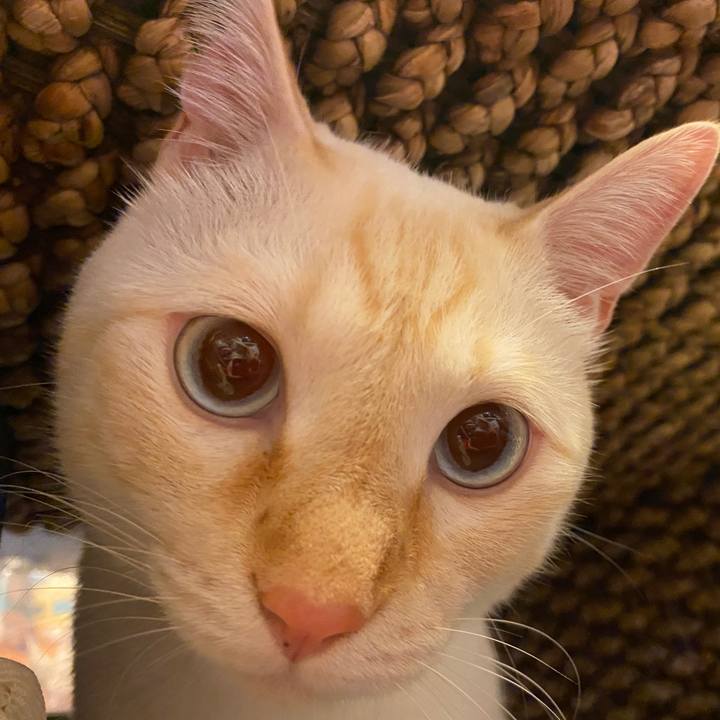 59e752cd c803 482e b14f fb199d61c0be 1629393466428