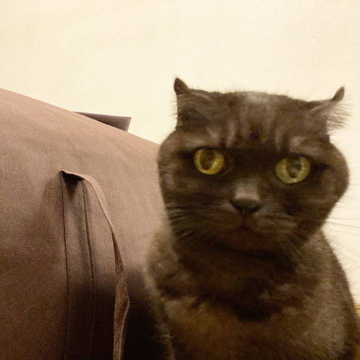 59e775d2 0673 450f a586 9f337017ac3b 1636646712323