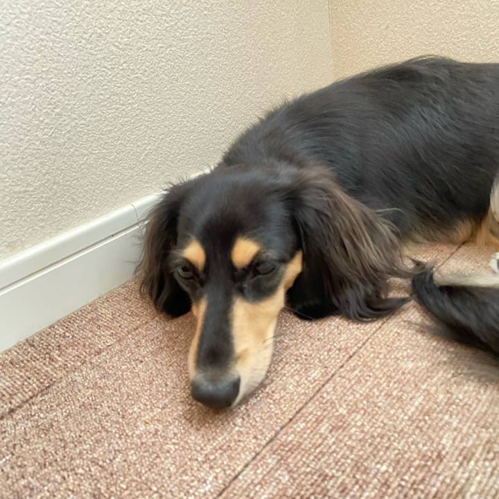 59e79529 610a 490c 9b62 dbe482b726af 1696488010867