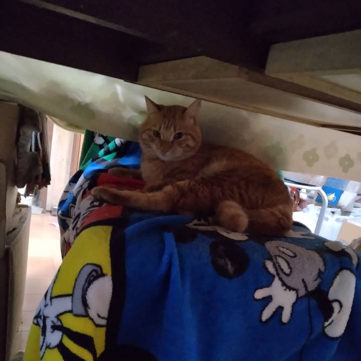 59e7d7f9 725f 42b9 9b58 0ccc4fe84337 1666565232851