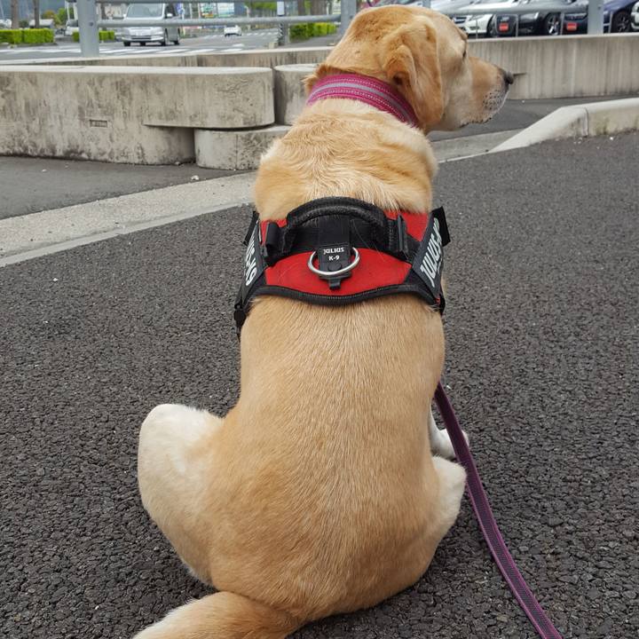 59e82398 bb6f 424d a61e 04e52b4fe8f0 1555987352679