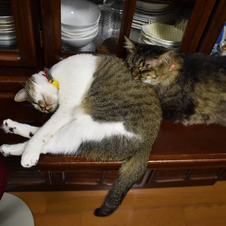 59e84a3d 769d 47be 9525 dd040ac4314c 1595762027291