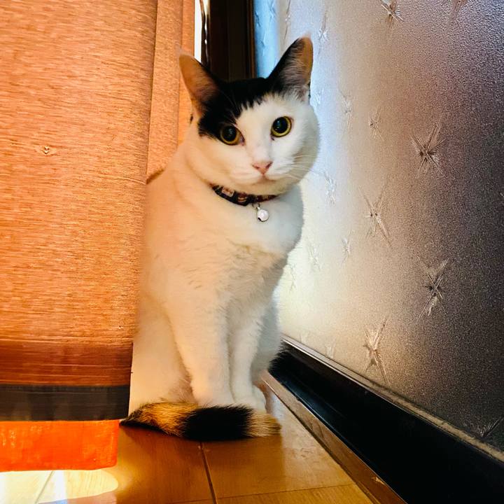 59e856af 815d 4da8 b20d c2b788dd33a4 1660739207089