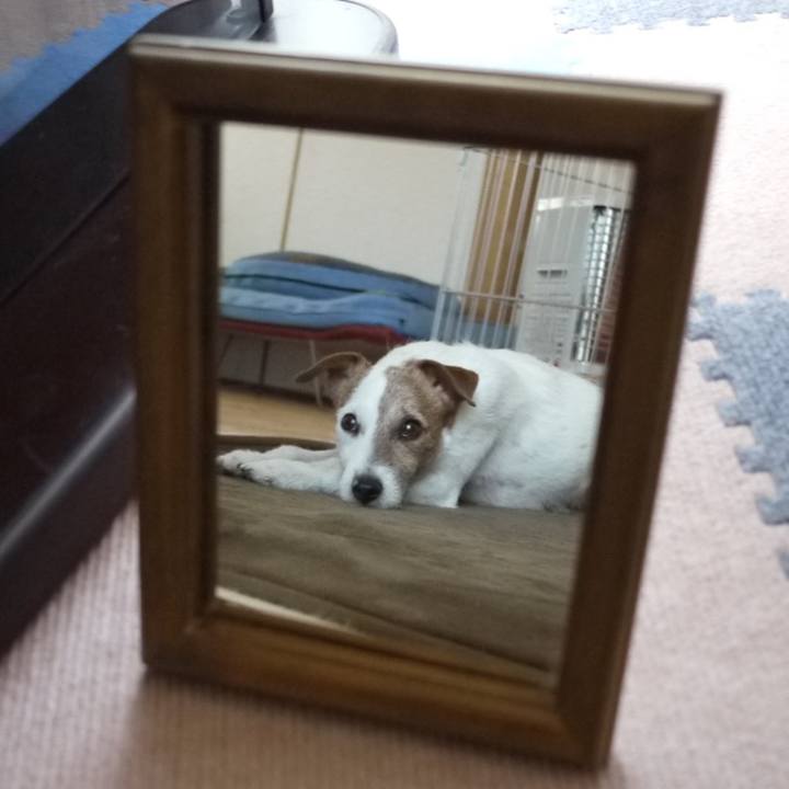 59e86d96 a410 4c30 af76 cbd7c02bbf02 1687671949477