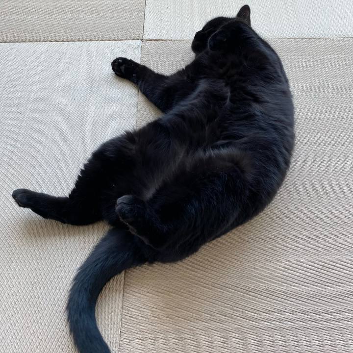 59e86f8d 91d0 4aca a83d 8013b33c2c20 1689062684234